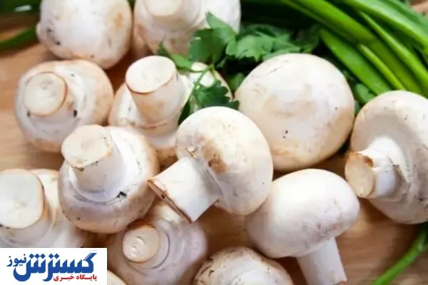 قارچ گران می‌شود؟