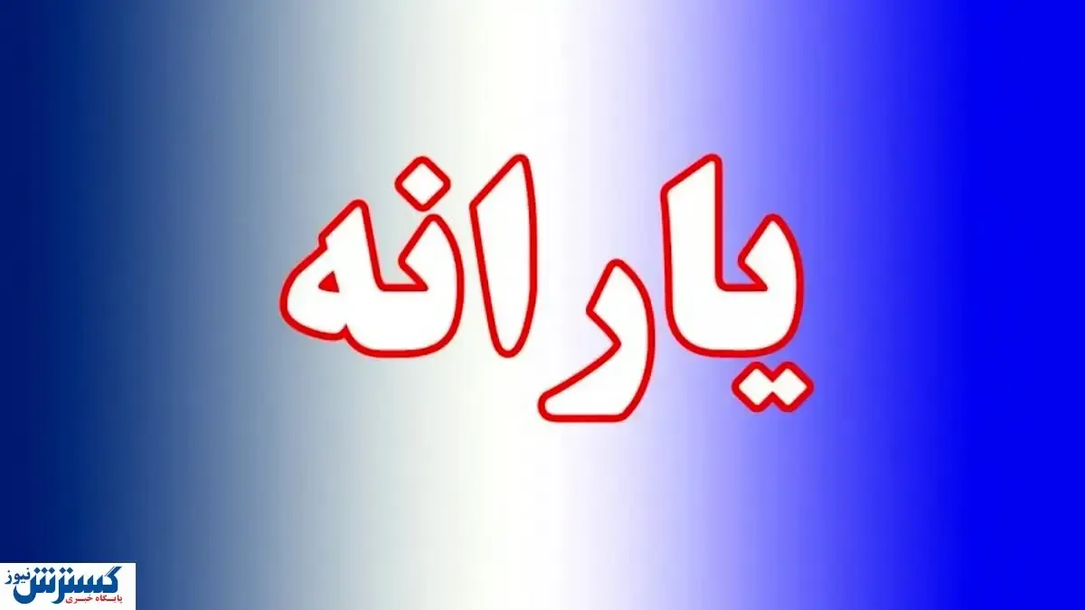 درباره مبلغ یارانه نان و دارو بیشتر بدانید / بالاخره کدام یارانه بگیران حذف می شوند؟