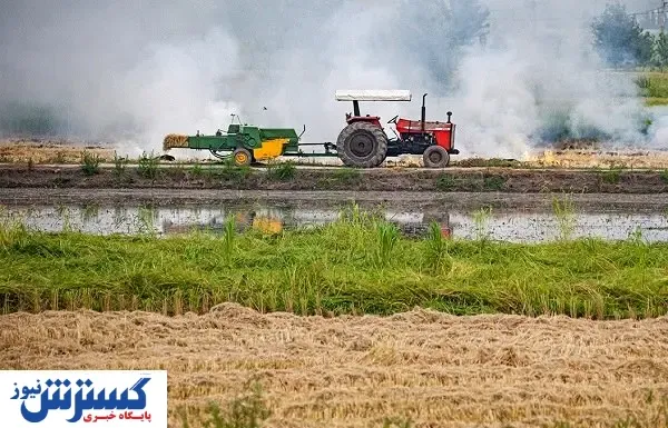 خودکفایی با توان دانش‌بنیان‌ها / پسماند میوه و سبزیجات، خوراکی برای دام