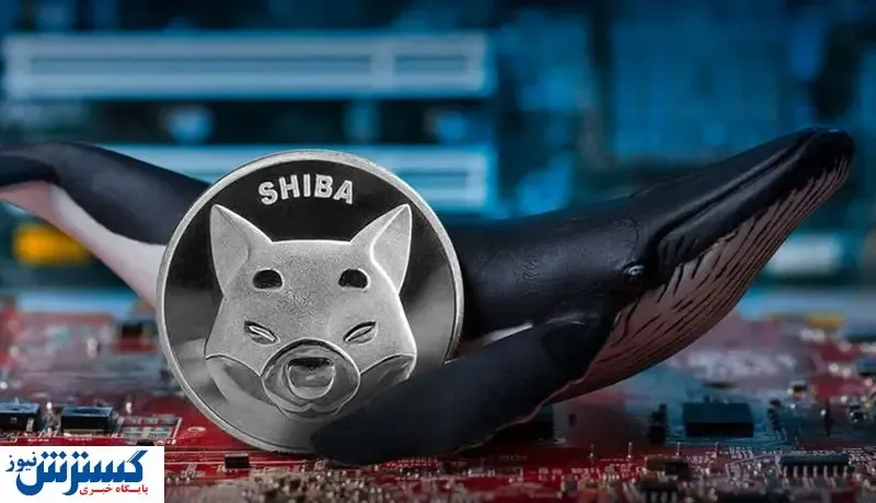 حمله نهنگ‌های مرموز به شیبا اینو / ماجرا چیست؟