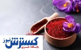 ​قیمت ۱۴۰۳ طلای سرخ اعلام شد | هر مثقال زعفران ۵۰۰ هزار تومان