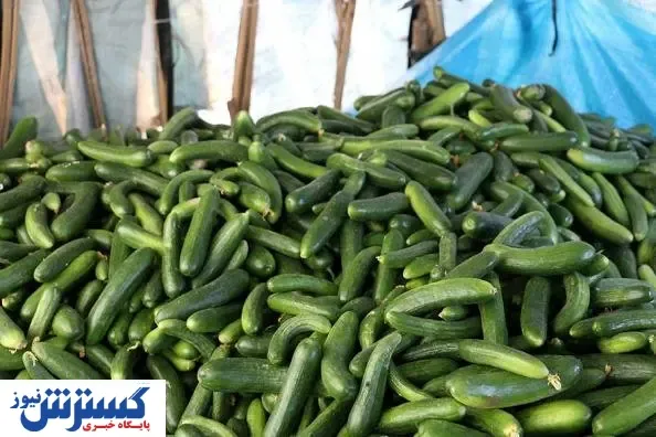بیت کوین خیار را گران کرد!