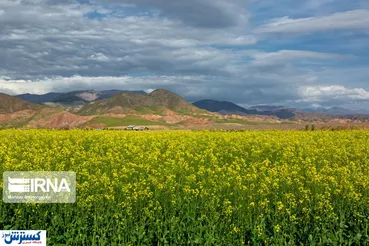 تصاویر/ زیبایی‌های دشتی در مسیر جاده ابریشم