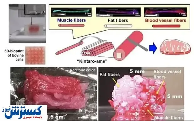 تولید استیک گوشت با پرینتر!