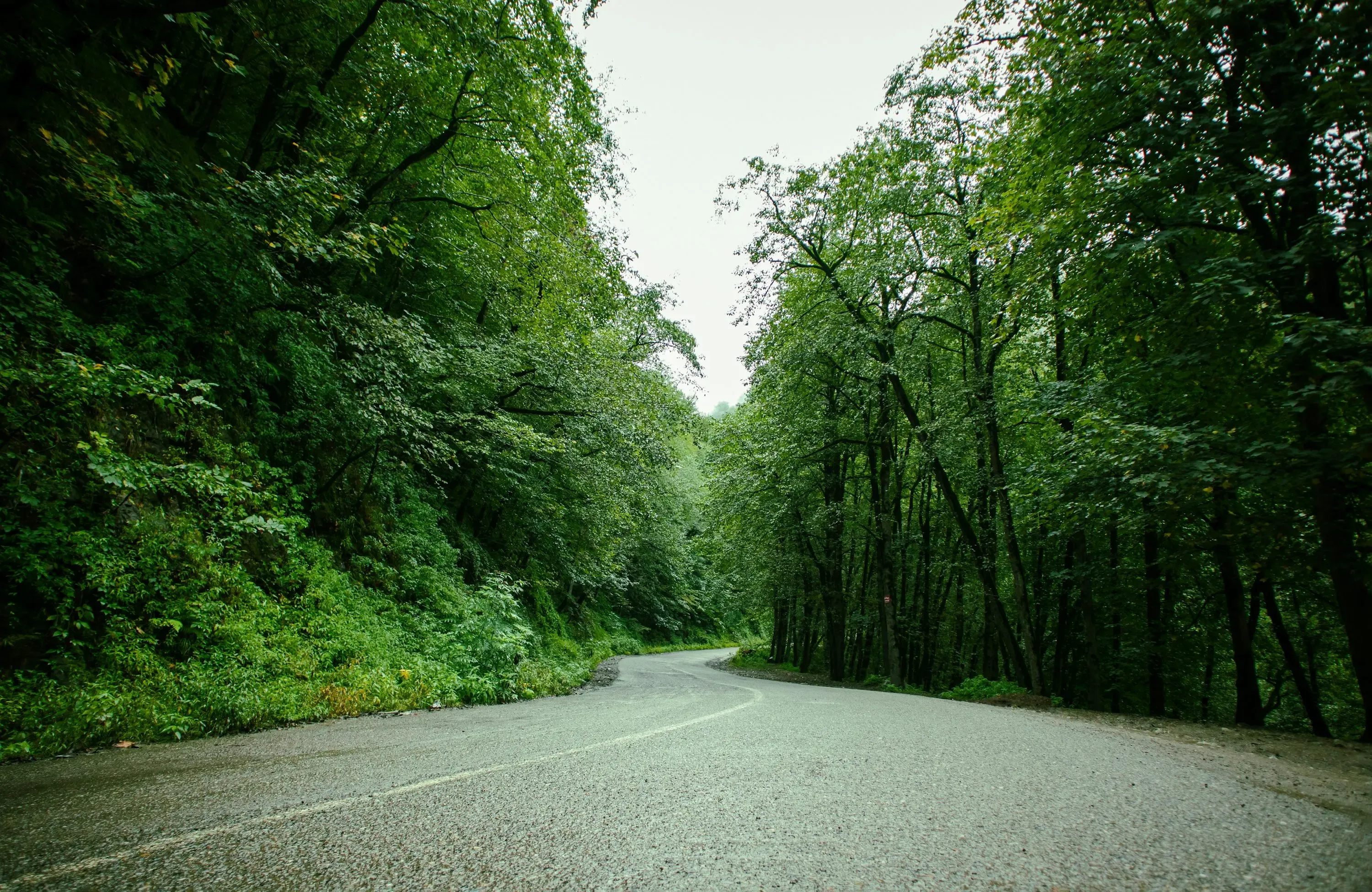 ۵ جاده مرگ‌آفرین ایران در نوروز ۱۴۰۵ / مسافران در کدام مسیر‌ها باید بیشتر مراقب باشند؟