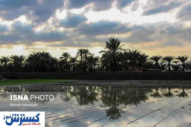 حال زمستانی استان بوشهر چطور است؟
