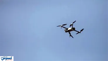 امروز ؛ کشف یک ریزپرنده‌ در آسمان کشور