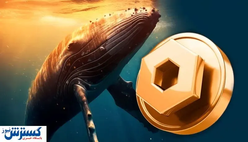 نهنگ‌ها در کمین رمزارز جدید!