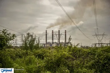 تصاویر/ مرگ خاموش محیط زیست مازندران با مازوت