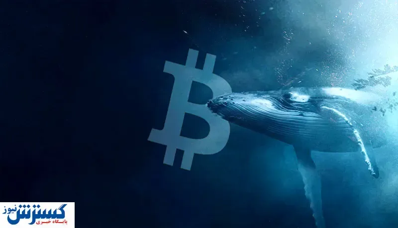 بیدار شدن نهنگ غول پیکر بیت کوین از خواب ۱۱ ساله / افزایش قیمت در راه است؟