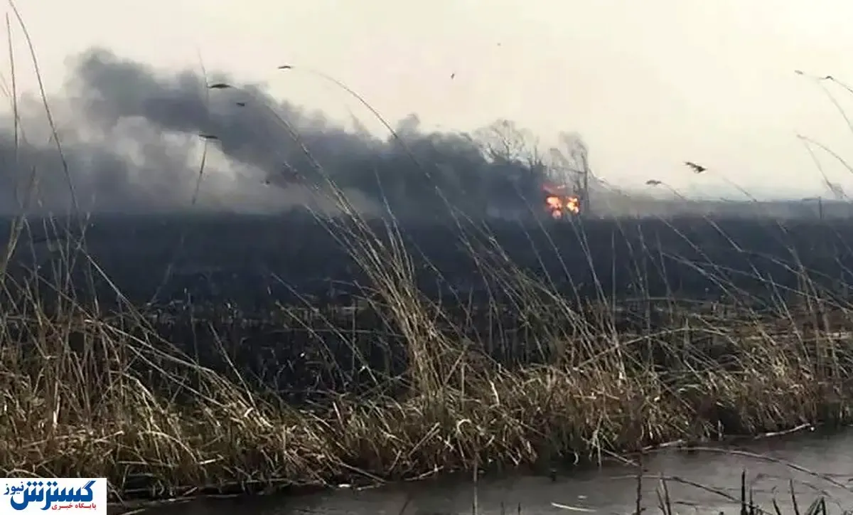 آتش سوزی‌‌ها در هورالعظیم عمدی است!