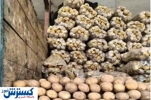 نرخ قطعی سیب‌زمینی در بازار مسکوت ماند !