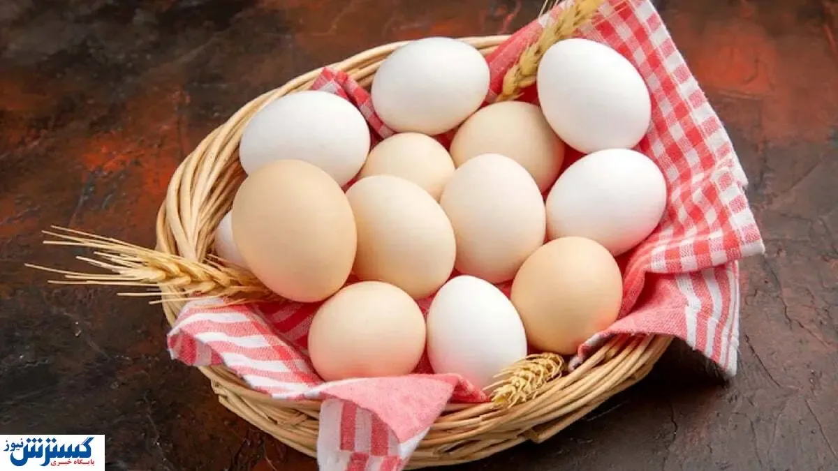 قیمت تخم مرغ شانه ای ۲۰۰ هزار تومان شد! + جزئیات