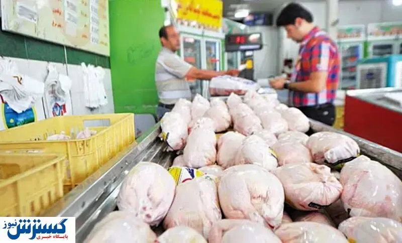 قیمت جدید انواع مرغ در بازار امروز (۹۹/۰۴/۲۳) + جدول