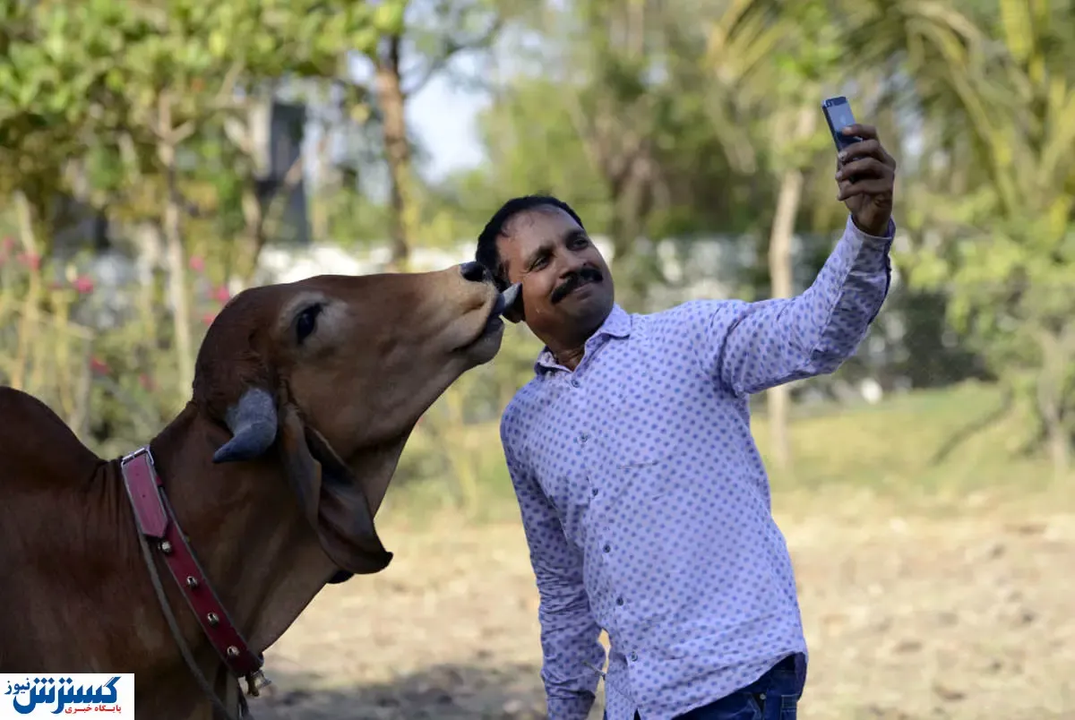 سلفی های مرگبار / عکس هایی که ماندگار شدند