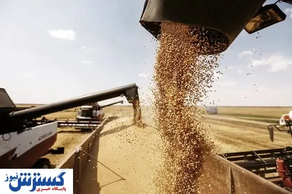 گندمکاران ناراضی هستند