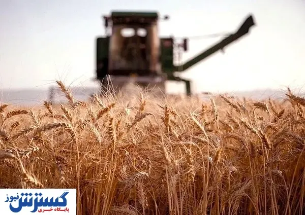 تضمین امنیت غذایی با اصلاح الگوی کشت