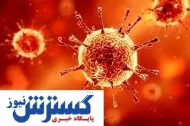 آنتی بادی کرونا چند ماه در بدن می‌ماند؟
