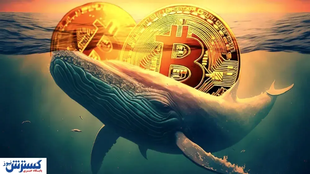 نهنگ ها برای مراسم تحلیف ترامپ کدام ارز دیجیتال را خریدند؟