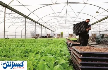 امنیت غذایی، در گرو تجاری‌سازی دانش‌بنیان‌ها