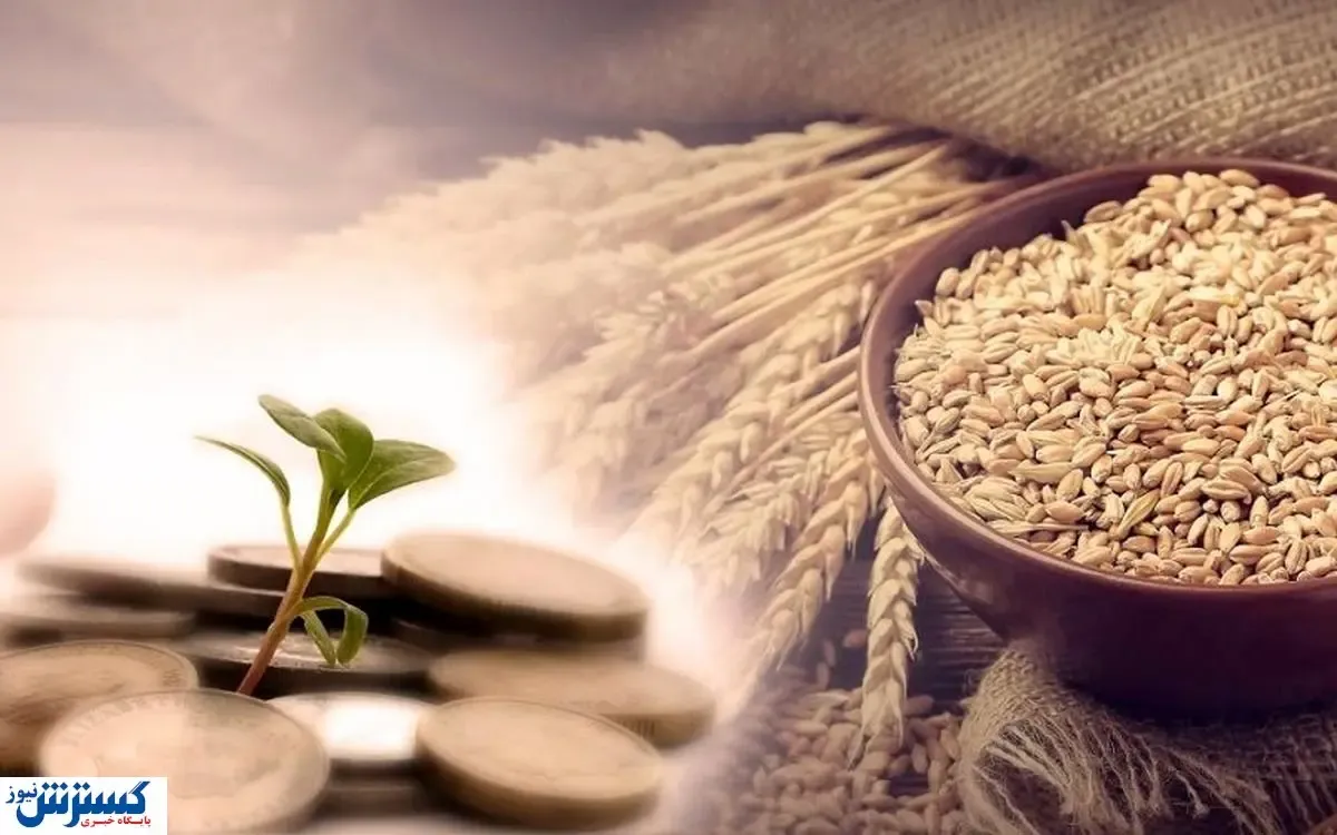 فطریه سال ۱۴۰۳ برای هر شخص اعلام شد/ مبلغ زکات اهل سنت چقدر است؟