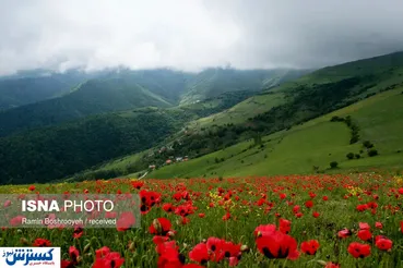 تصاویر/ «دره بهشت» ایران را بشناسید