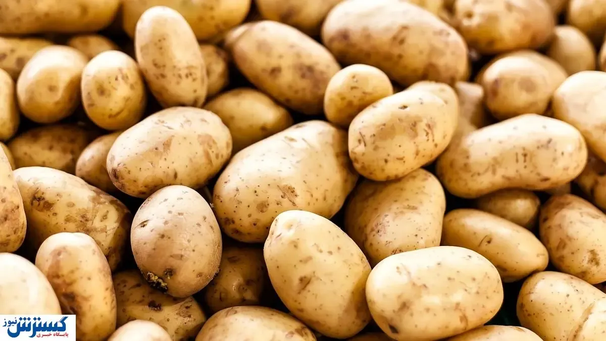 میزان افزایش قیمت اقلام خوراکی رسما اعلام شد (۱۳ اسفند)