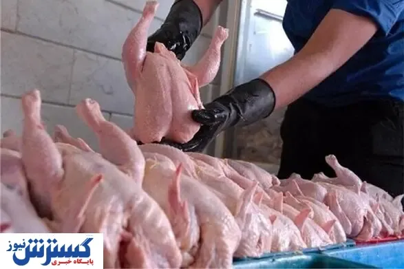 برخورد جدی با فروشندگان متخلف مرغ