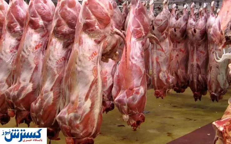 جزئیات مهم درباره واردات گوشت گرم